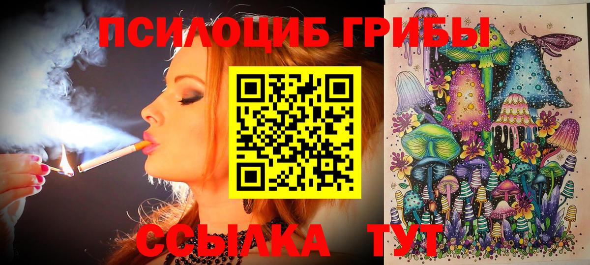 Галлюциногенные грибы Psilocybe Рузаевка